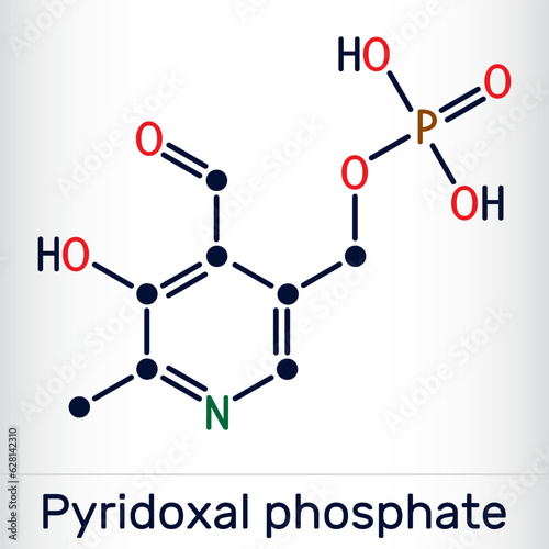 Pyridoxal phosphate, PLP molecule. It is active form of vitamin B6 and coenzyme. Skeletal chemical formula. Vector