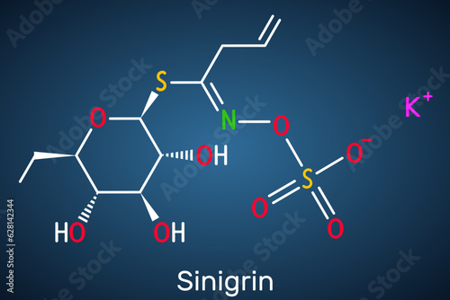 Sinigrin, allyl glucosinolate molecule. Glucosinolate from family of glucosides, found in plants of the family Brassicaceae. Structural chemical formula, dark blue background. Vector