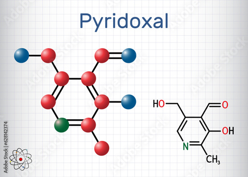 Pyridoxal molecule. It is form of vitamin B6. Molecule model. Skeletal chemical formula  and molecule model. Sheet of paper in a cage. Vector