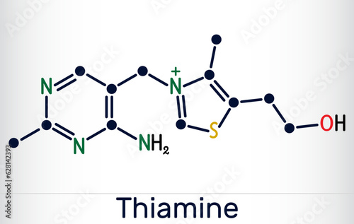 Thiamine, vitamin B1 molecule. Found in food, used as a dietary supplement and medication Skeletal chemical formula. Vector