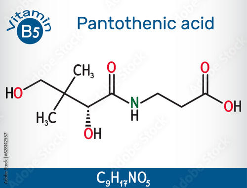 Pantothenic acid, vitamin B5, pantothenate molecule. Structural chemical formula. Vector