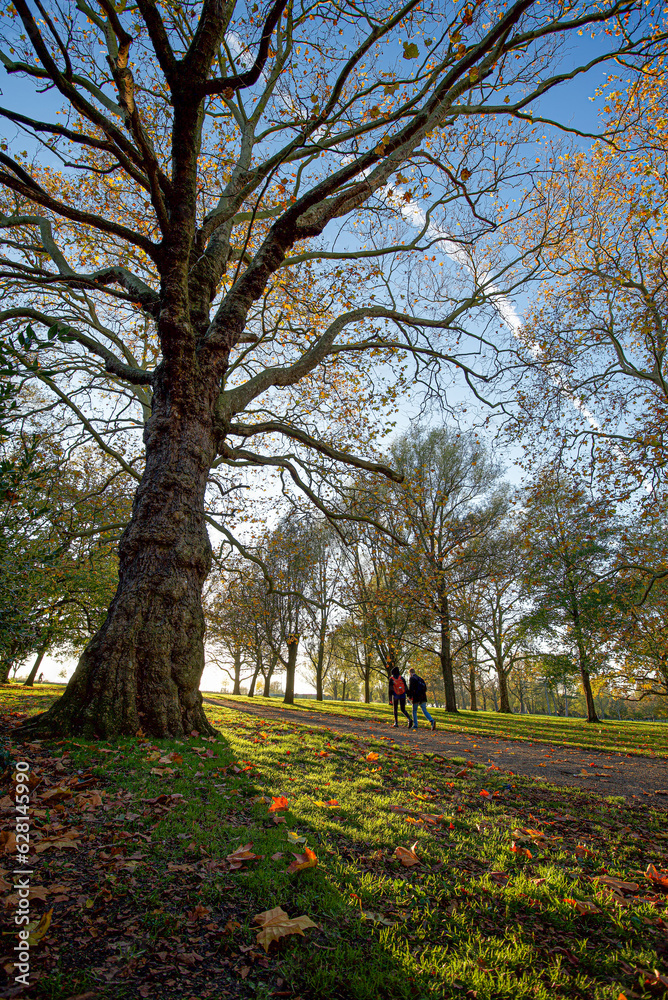 Passeggiata a Finsbury Park Passeggiata a Finsbury Park