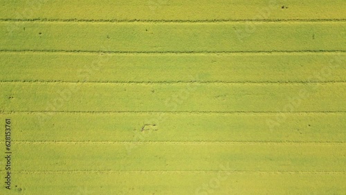 Wallpaper Mural Abstract geometric shapes of agricultural parcels of different crops in yellow and green colors. Aerial view shoot from drone directly above field Torontodigital.ca