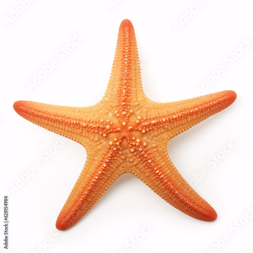 Isolated starfish on a white background: ocean, sea, beach - perfect for summer vacation design. Flat lay, top view, with subtle shadows.