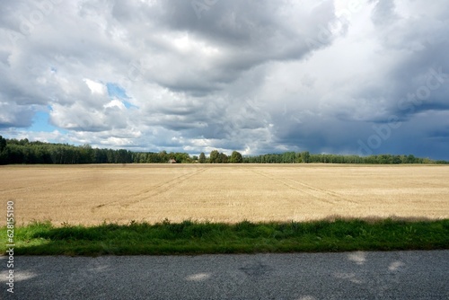 Autumn landscape with mown corn field and beautiful rain clouds in sunny weather photo