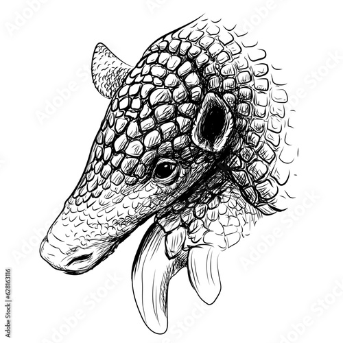Giant armadillo. Graphic portrait of Giant armadillo in sketch style on a white background.
