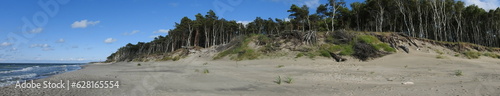 Fotografi panorama view of the coast on the curonian spit