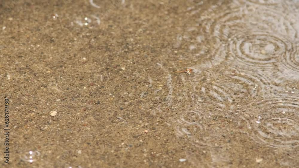 Raindrops falling in a small puddle on a concrete pavement. Low angle shot, real time, no people Raindrops falling in a small puddle on a concrete pavement. Low angle shot, real time, no people