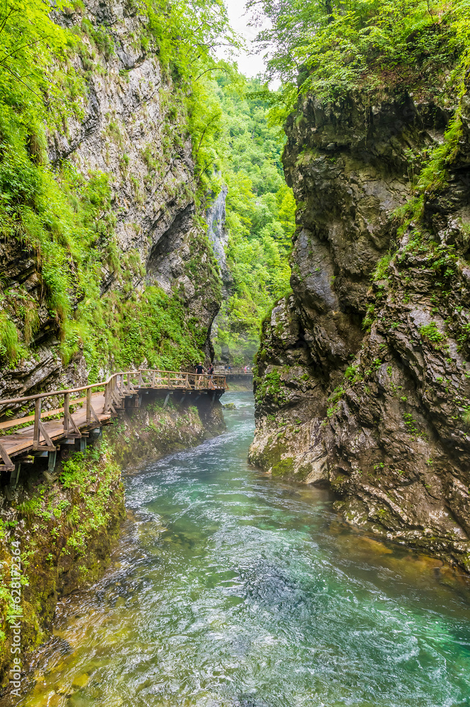 A view towards the walkway beside the turbulent Radovna River in the Vintgar Gorge in Slovenia in summertime A view towards the walkway beside the turbulent Radovna River in the Vintgar Gorge in Slovenia in summertime