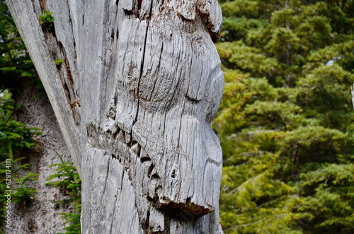 Historic Totem Poles, Sgang Gwaay, Ninstints, Haida Gwaii, BC, Canada
 photo