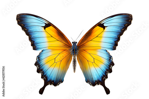 Very beautiful colorful butterfly in flight isolated on white background PNG