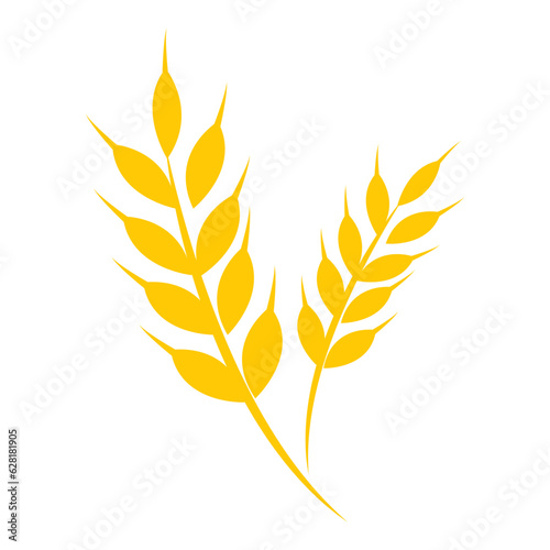 Set of golden wheat ears, agriculture wheat vector icon, wheat vector logo template isolated on white background. photo