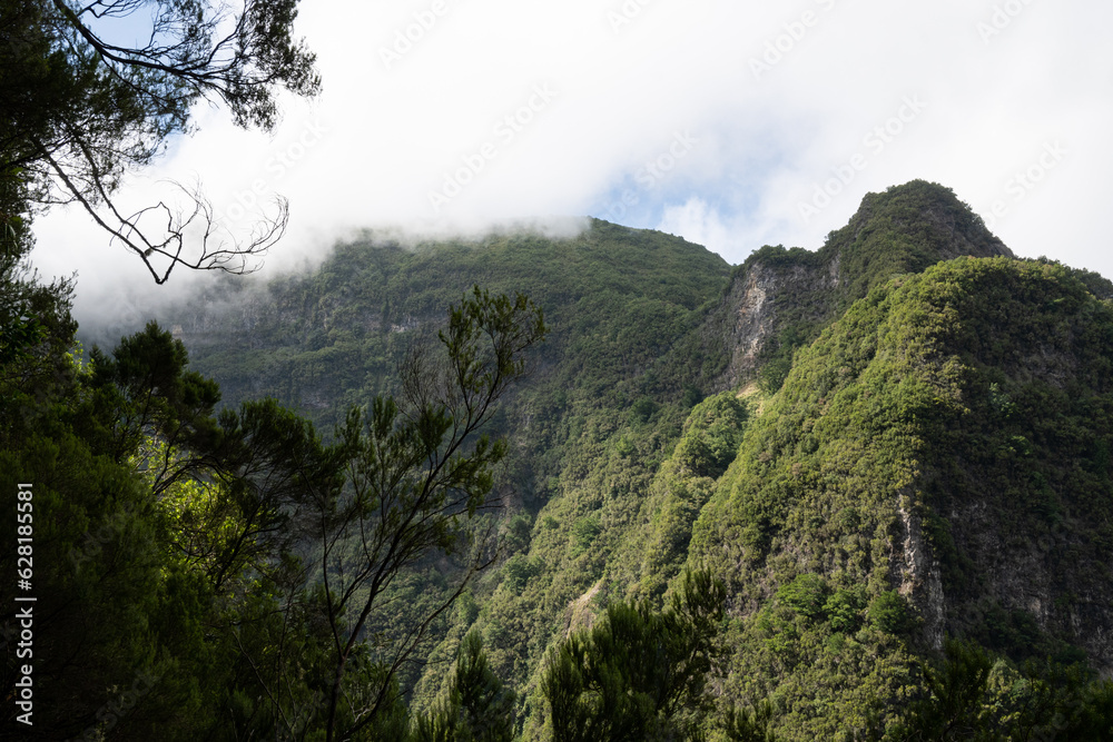 Subtropical jungle in the heart of Madeira, portuguese atlanticIsland with hiker paradise paths Subtropical jungle in the heart of Madeira, portuguese atlanticIsland with hiker paradise paths