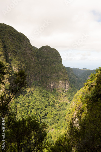 Green rainforest in the mountains of Madeira, hiking path of levada through stunning nature