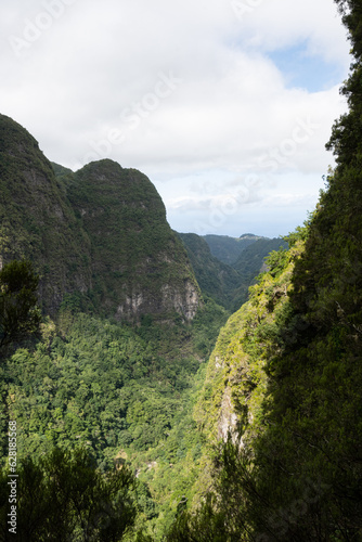Subtropical jungle in the heart of Madeira, portuguese atlanticIsland with hiker paradise paths
