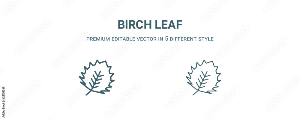 birch leaf icon. Filled and line birch leaf icon from nature collection. Outline vector isolated on white background. Editable birch leaf symbol