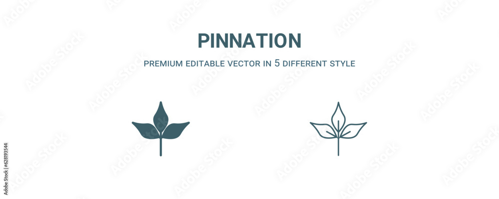 pinnation icon. Filled and line pinnation icon from nature collection. Outline vector isolated on white background. Editable pinnation symbol