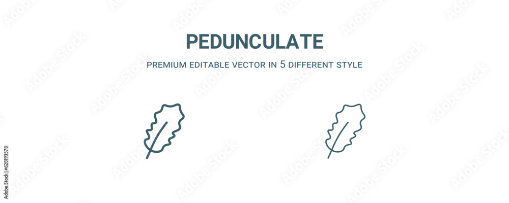 pedunculate icon. Filled and line pedunculate icon from nature collection. Outline vector isolated on white background. Editable pedunculate symbol