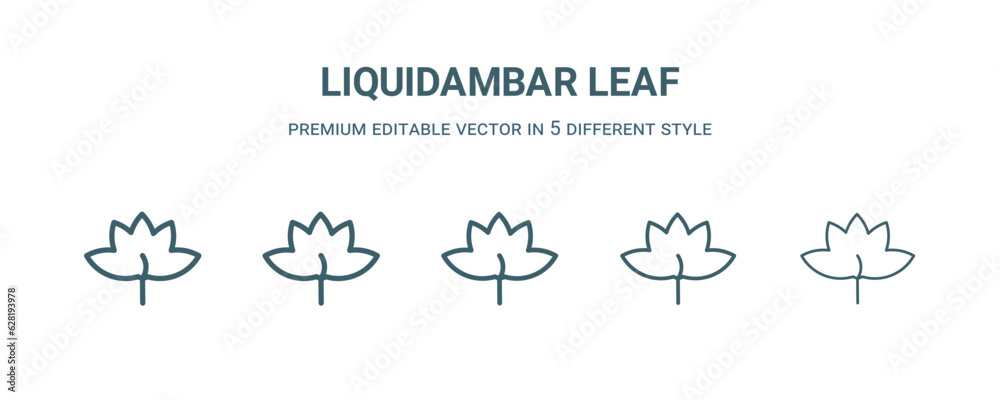 Obraz premium liquidambar leaf icon in 5 different style. Thin, light, regular, bold, black liquidambar leaf icon isolated on white background.