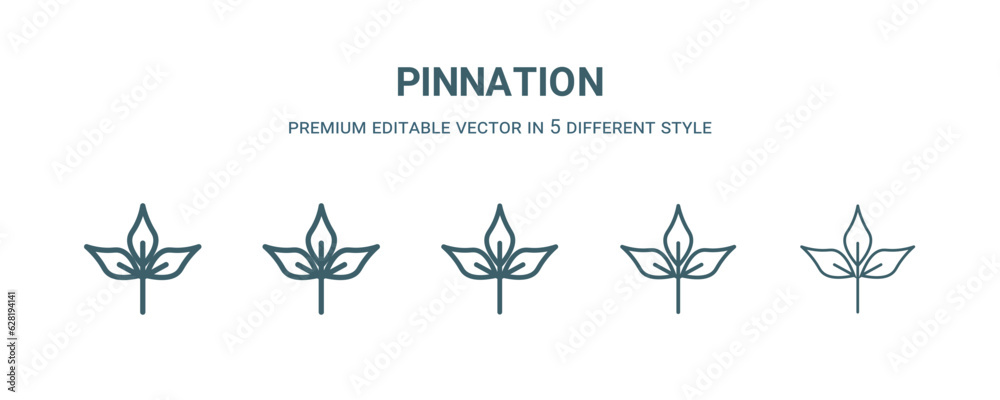 pinnation icon in 5 different style. Thin, light, regular, bold, black pinnation icon isolated on white background. pinnation icon in 5 different style. Thin, light, regular, bold, black pinnation icon isolated on white background.