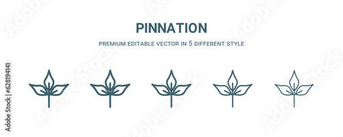 pinnation icon in 5 different style. Thin  light  regular  bold  black pinnation icon isolated on white background.