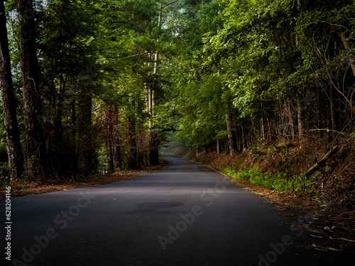 Photos Peaceful stretch of road in the forest through rural Jefferson County Alabama at