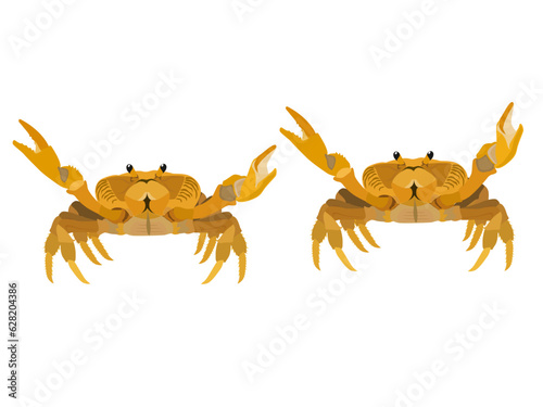 Colorful crabs on a white background.