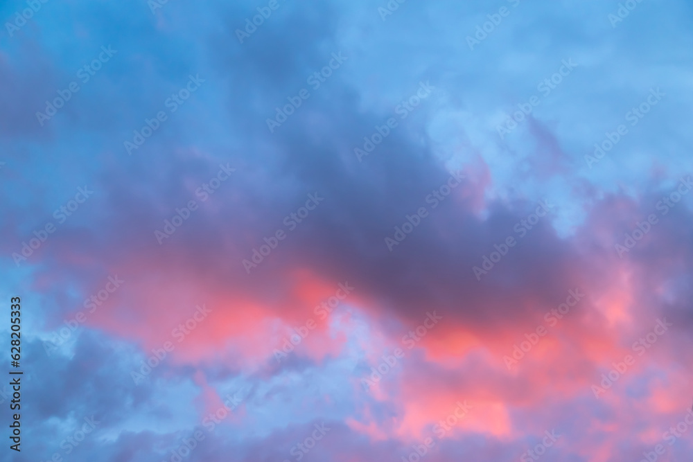Morning sky blue pink. Unusual dark pink layered stratus clouds, skyscape.
