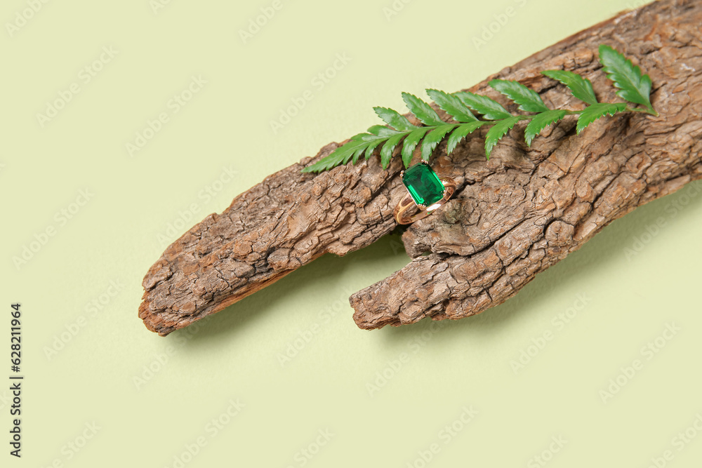 Tree bark with beautiful emerald ring and plant leaves on pale green background