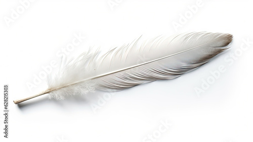 Bird feather on white background. Beautiful bird plumage or wing element, isolated smooth feather.