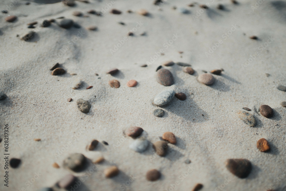 Seashells and Stones Seashells and Stones