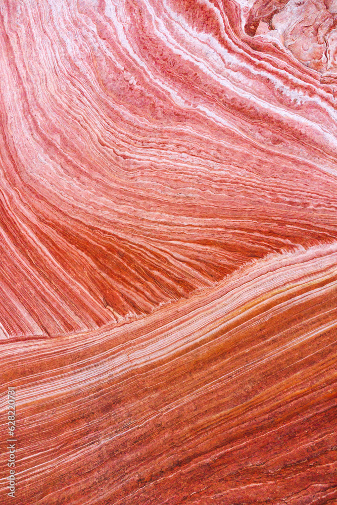 Rough rock with surface in Canyon Rough rock with surface in Canyon