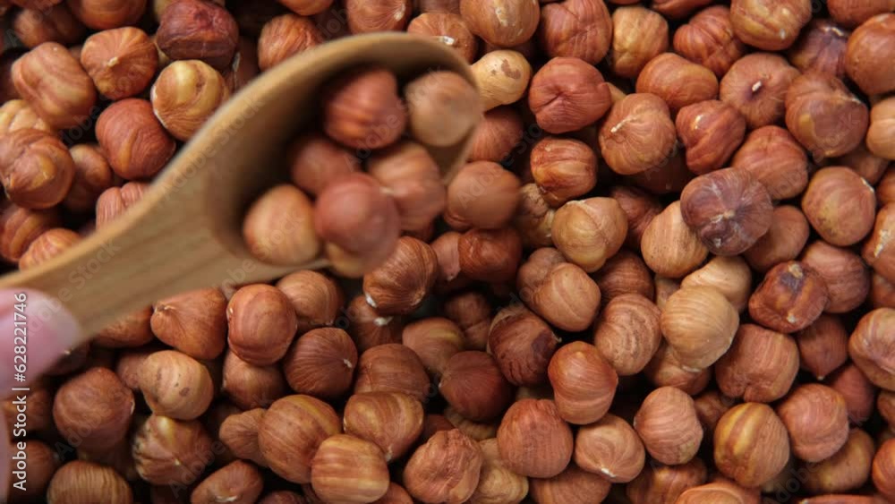 Hazelnuts harvest. Filbert video wallpaper. Full frame of hazel. Cobnut background. Peeled brown nut kernels. Healthy organic bio products. Vegetarian, vegan and raw food. Back to nature. Healthy fat Hazelnuts harvest. Filbert video wallpaper. Full frame of hazel. Cobnut background. Peeled brown nut kernels. Healthy organic bio products. Vegetarian, vegan and raw food. Back to nature. Healthy fat