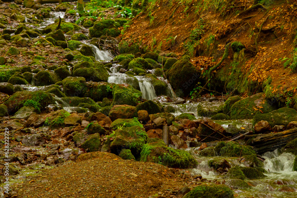 Natural green mountain view in Seven Lakes (Yedigoller) National Park, Bolu, Turkey Natural green mountain view in Seven Lakes (Yedigoller) National Park, Bolu, Turkey