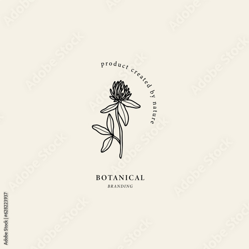 Line art clover flower illustration