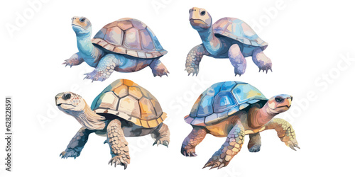 Watercolor Tortoise clipart for graphic resources