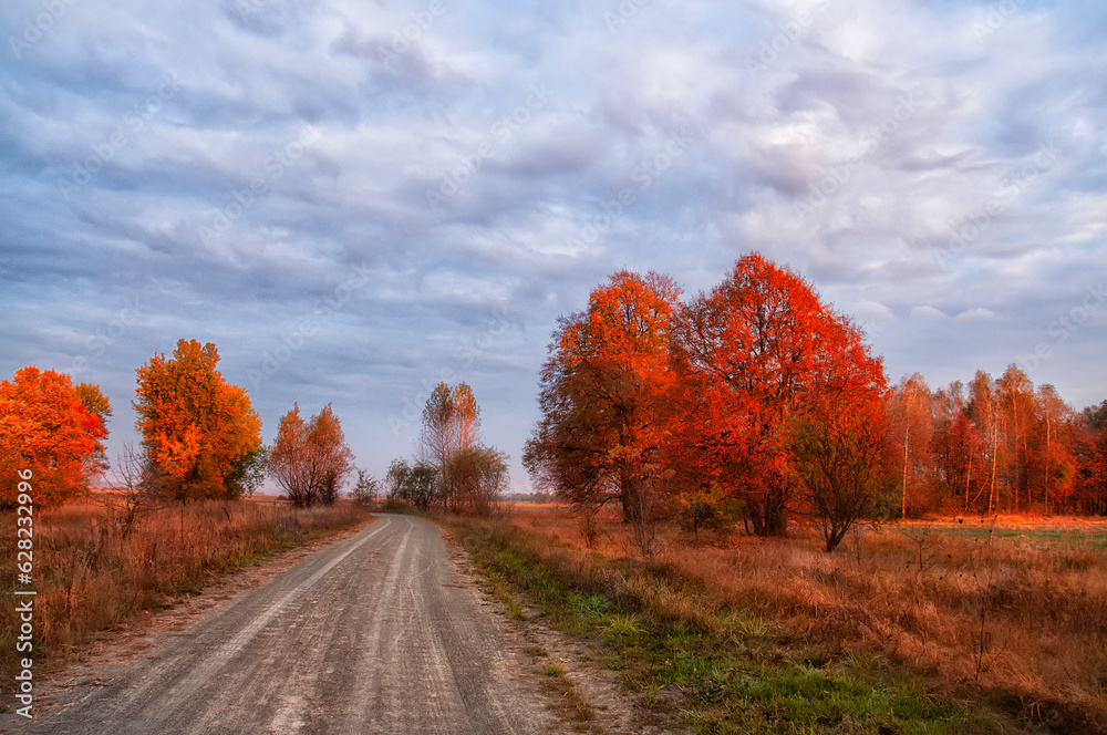 dirt road among autumn trees in the rays of the first morning sun. dirt road among autumn trees in the rays of the first morning sun.