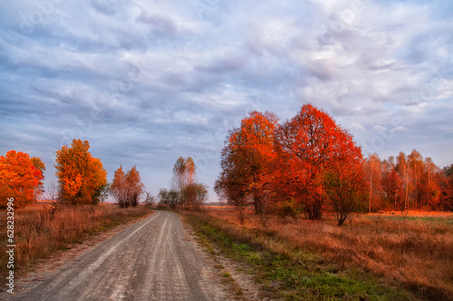  dirt road among autumn trees in the rays of the first morning sun.