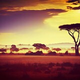 African landscapes