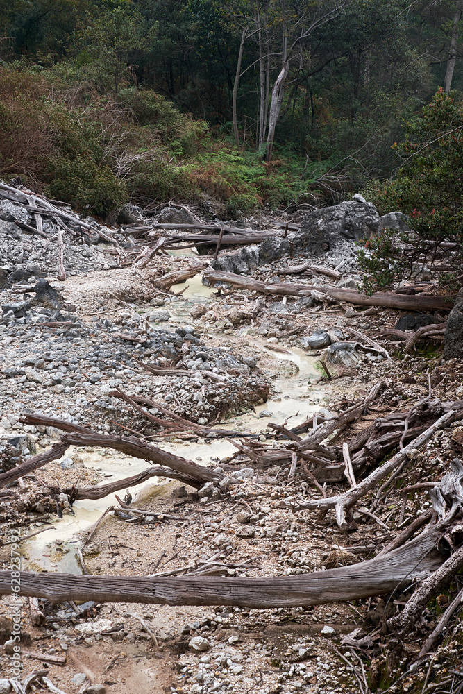 Fototapeta premium Scattered Stones, Lifeless Trees the Crater