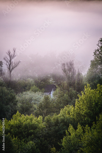 very thick morning white fog covering the dense green forest, in which a white house is hidden, during the golden hour