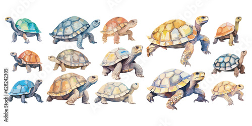 Watercolor Tortoise clipart for graphic resources