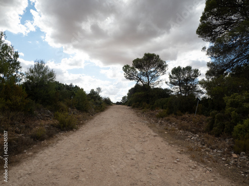 Vistas en la ruta de senderismo de la Hoz de Alarcón, Hoz de Alarcón, Alarcón, Cuenca, Castilla la Mancha, España