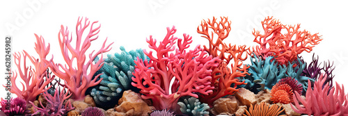 Corals isolated on transparent background - Generative AI