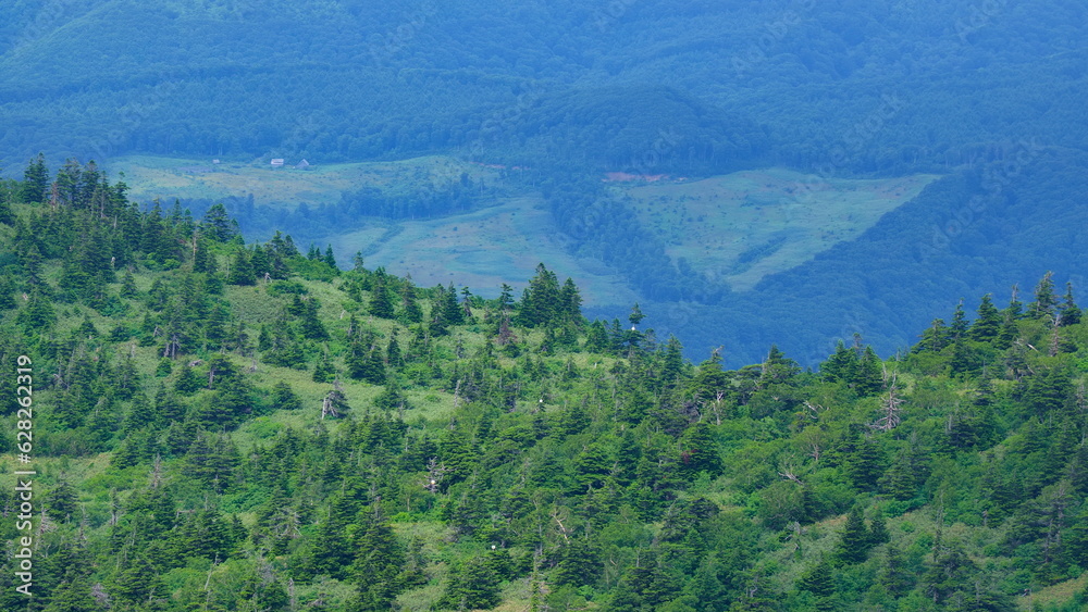 Obraz premium 八甲田遊歩道からの景色1