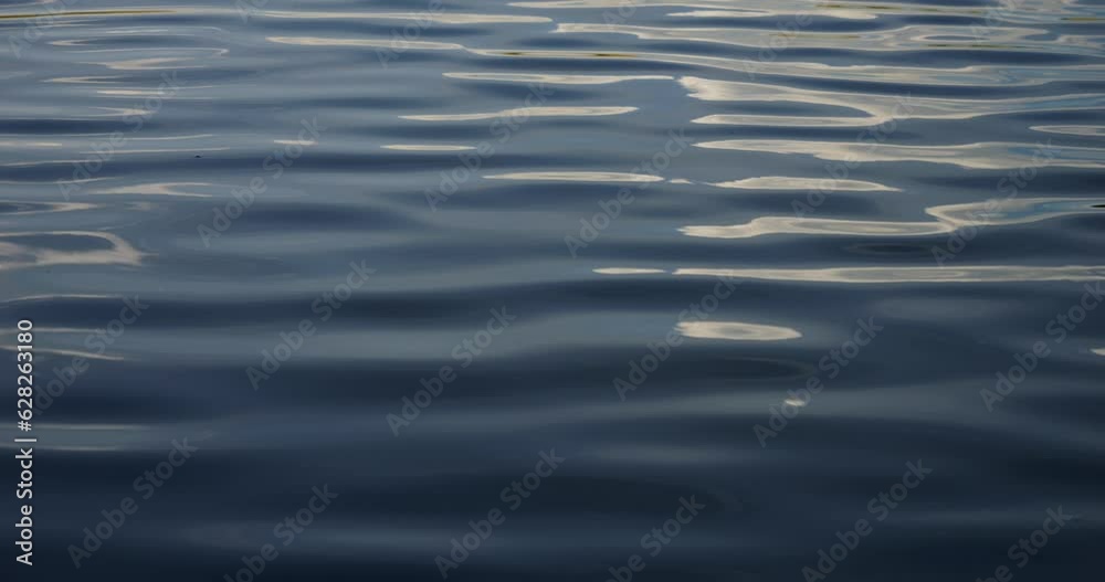Gentle small waves on the surface of the water. Water texture.