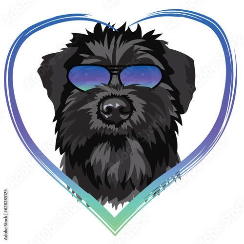 Portrait of black schnauzer in sunglasses inside heart frame on white background, vector image