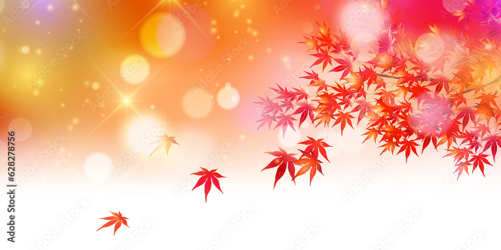 紅葉 もみじ 秋 背景 紅葉 もみじ 秋 背景