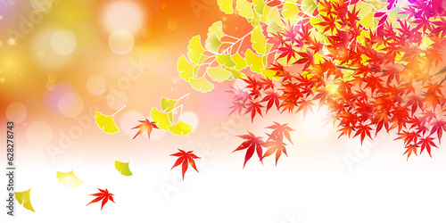 紅葉　もみじ　秋　背景