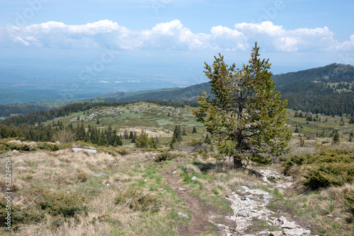 Spring view of Konyarnika area at Vitosha Mountain, Bulgaria photo
